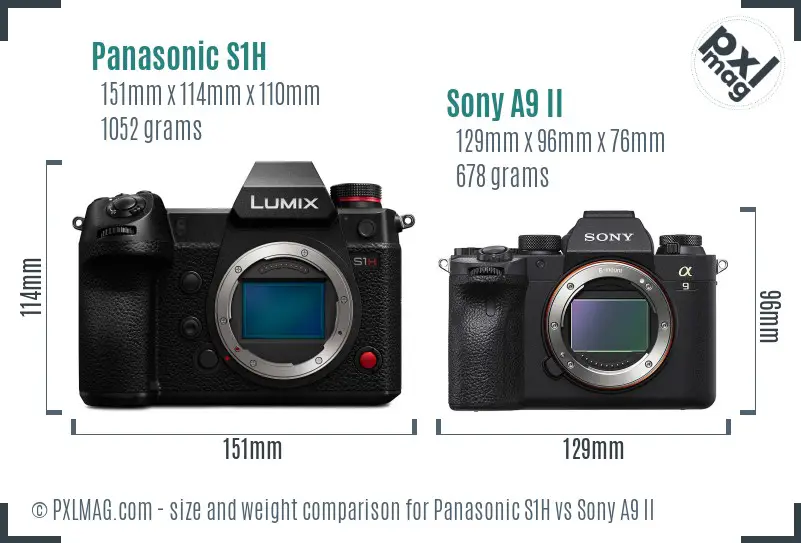 Panasonic S1H vs Sony A9 II size comparison