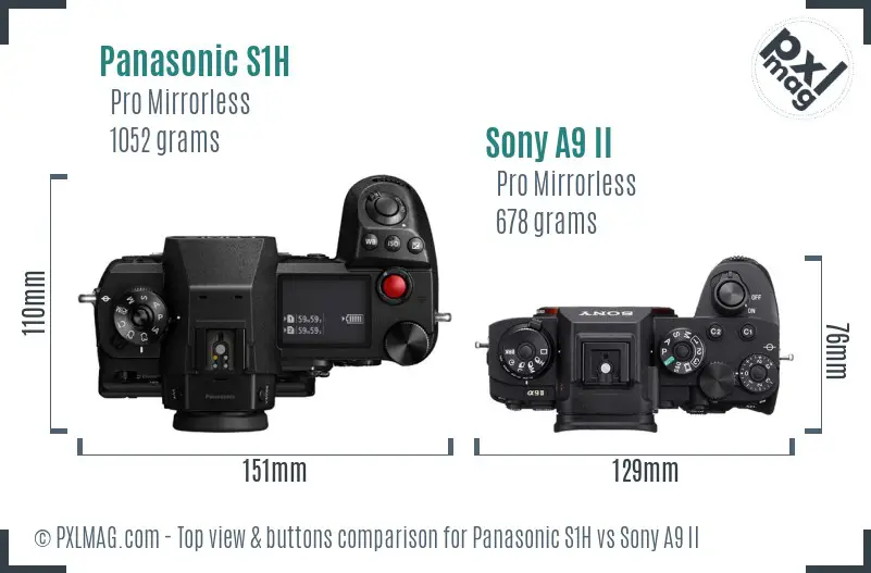 Panasonic S1H vs Sony A9 II top view buttons comparison