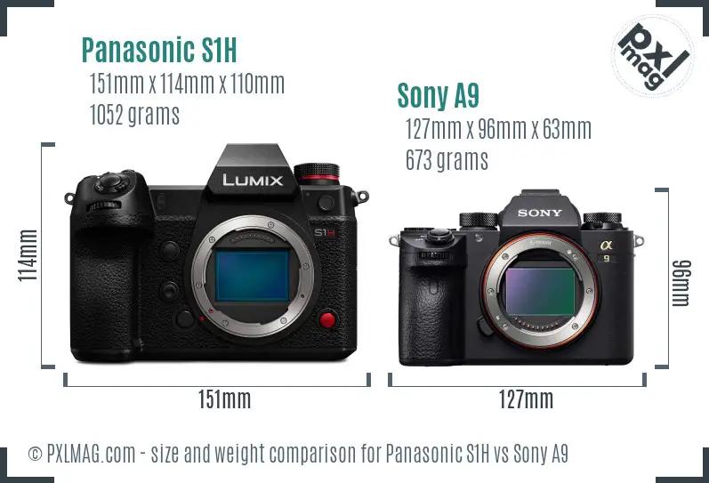 Panasonic S1H vs Sony A9 size comparison