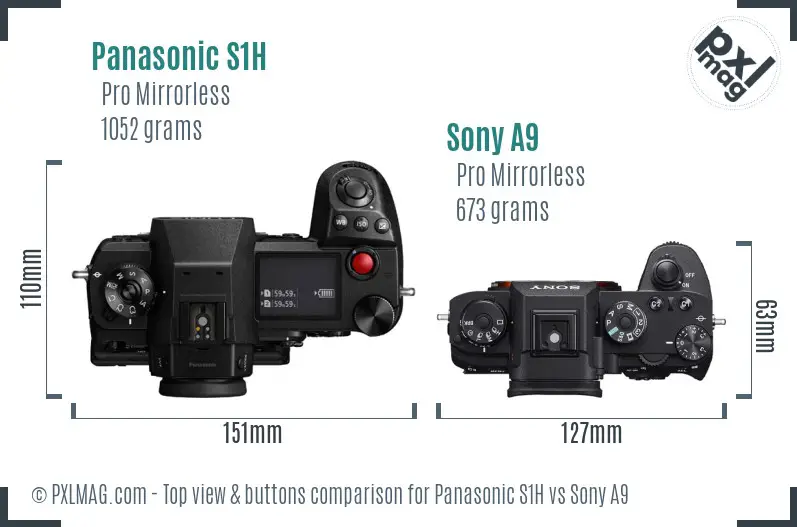 Panasonic S1H vs Sony A9 top view buttons comparison