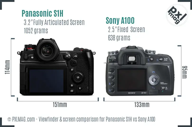 Panasonic S1H vs Sony A100 Screen and Viewfinder comparison