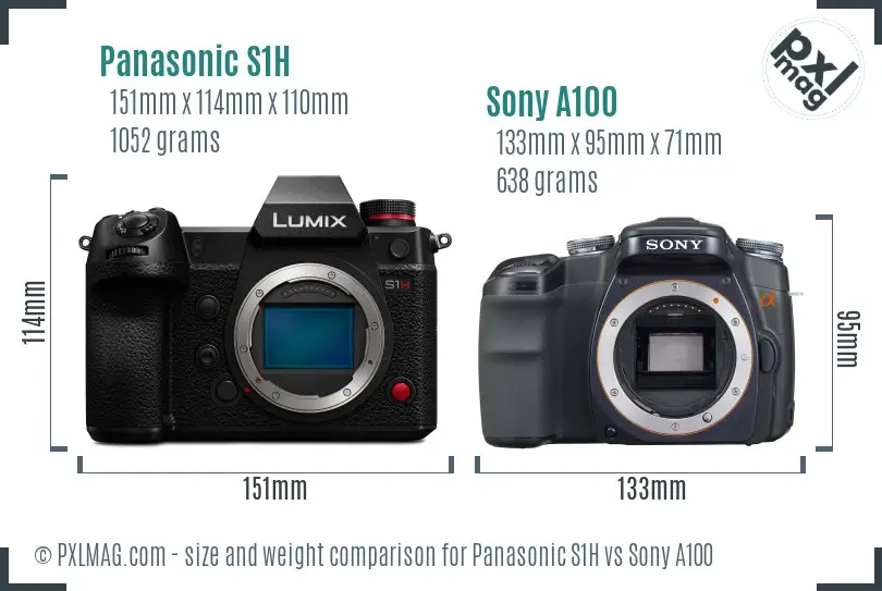 Panasonic S1H vs Sony A100 size comparison