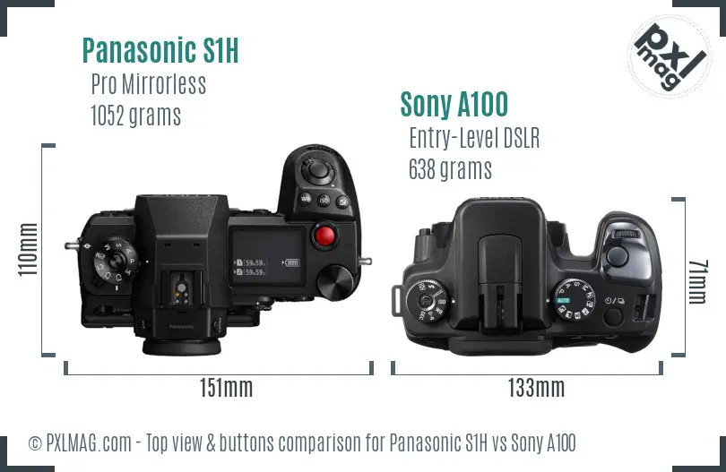 Panasonic S1H vs Sony A100 top view buttons comparison