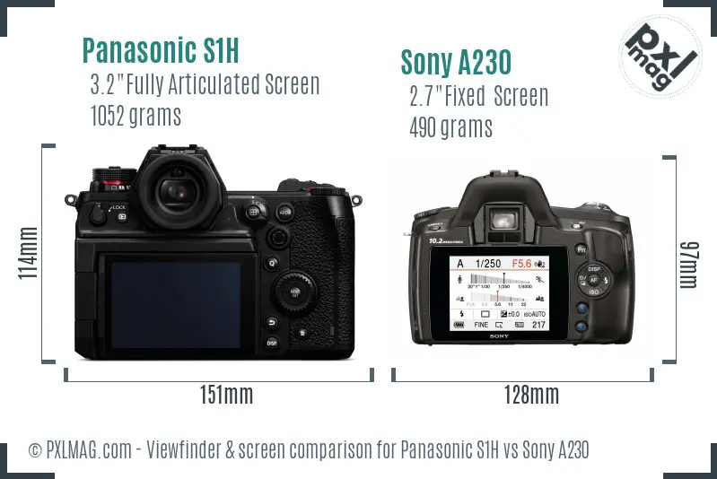 Panasonic S1H vs Sony A230 Screen and Viewfinder comparison