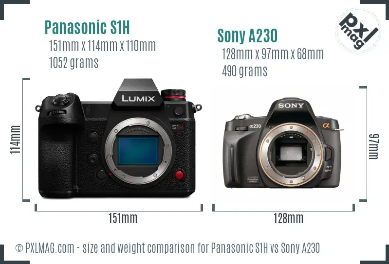 Panasonic S1H vs Sony A230 size comparison