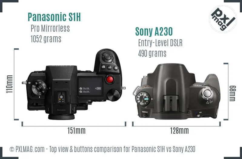 Panasonic S1H vs Sony A230 top view buttons comparison