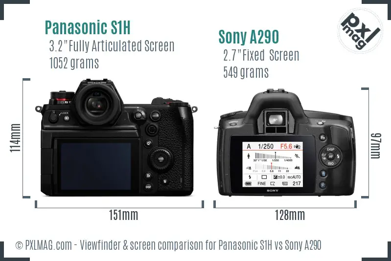 Panasonic S1H vs Sony A290 Screen and Viewfinder comparison