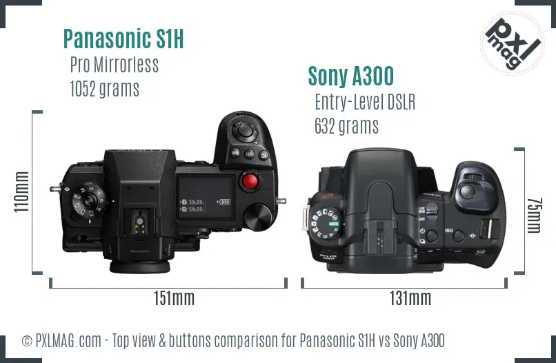 Panasonic S1H vs Sony A300 top view buttons comparison