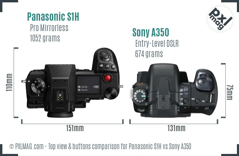 Panasonic S1H vs Sony A350 top view buttons comparison