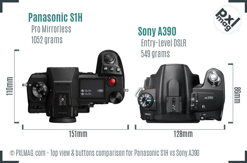 Panasonic S1H vs Sony A390 top view buttons comparison