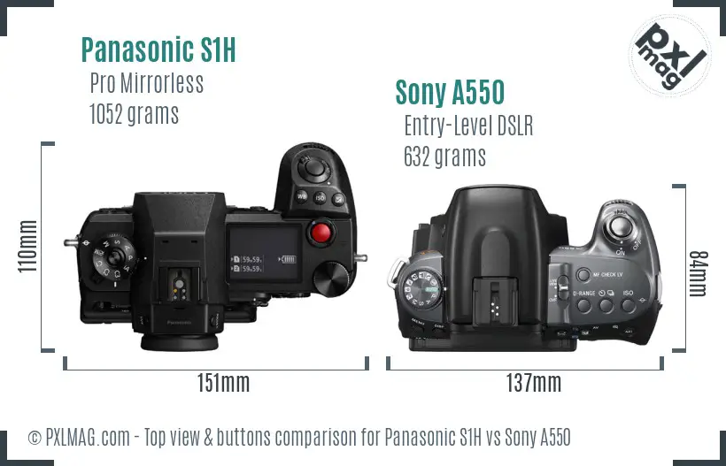 Panasonic S1H vs Sony A550 top view buttons comparison