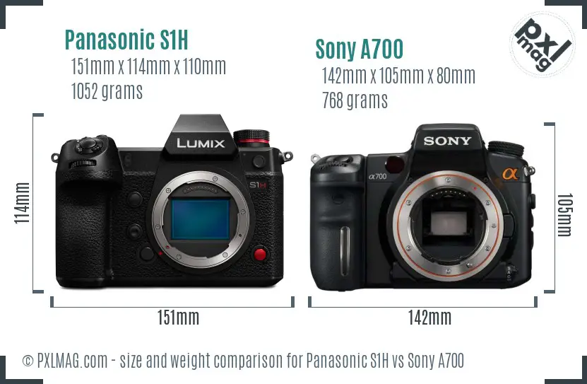 Panasonic S1H vs Sony A700 size comparison