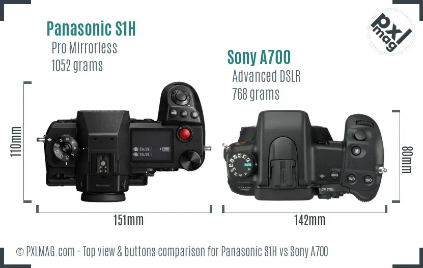 Panasonic S1H vs Sony A700 top view buttons comparison