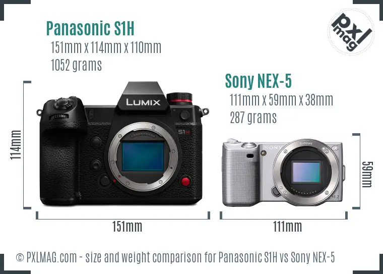 Panasonic S1H vs Sony NEX-5 size comparison