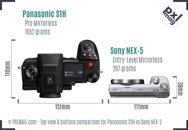 Panasonic S1H vs Sony NEX-5 top view buttons comparison