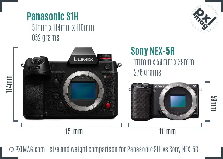 Panasonic S1H vs Sony NEX-5R size comparison