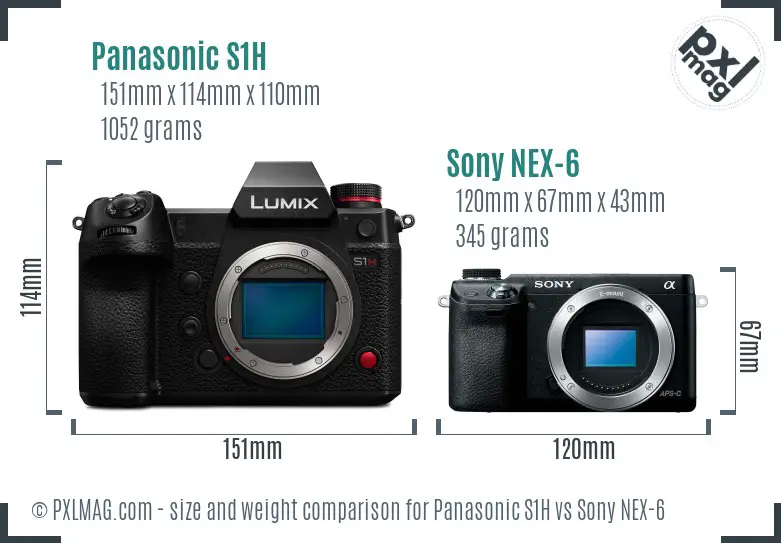 Panasonic S1H vs Sony NEX-6 size comparison