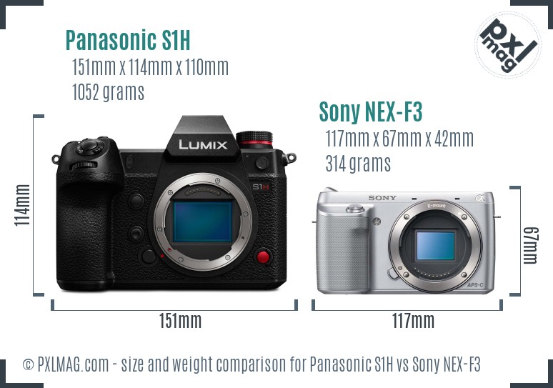 Panasonic S1H vs Sony NEX-F3 size comparison