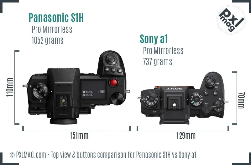 Panasonic S1H vs Sony a1 top view buttons comparison