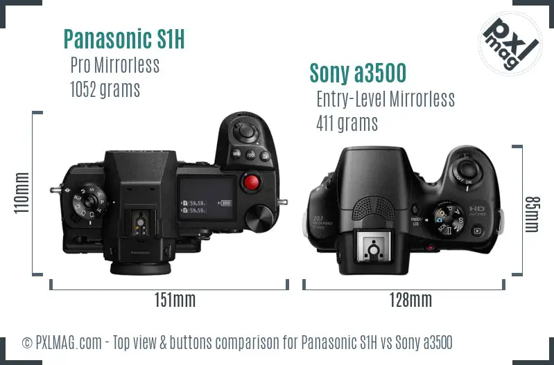 Panasonic S1H vs Sony a3500 top view buttons comparison