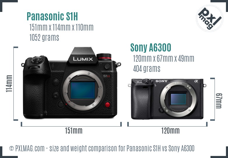 Panasonic S1H vs Sony A6300 size comparison