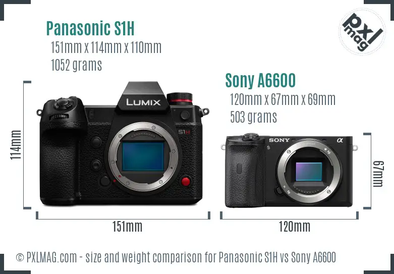 Panasonic S1H vs Sony A6600 size comparison