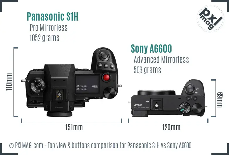 Panasonic S1H vs Sony A6600 top view buttons comparison