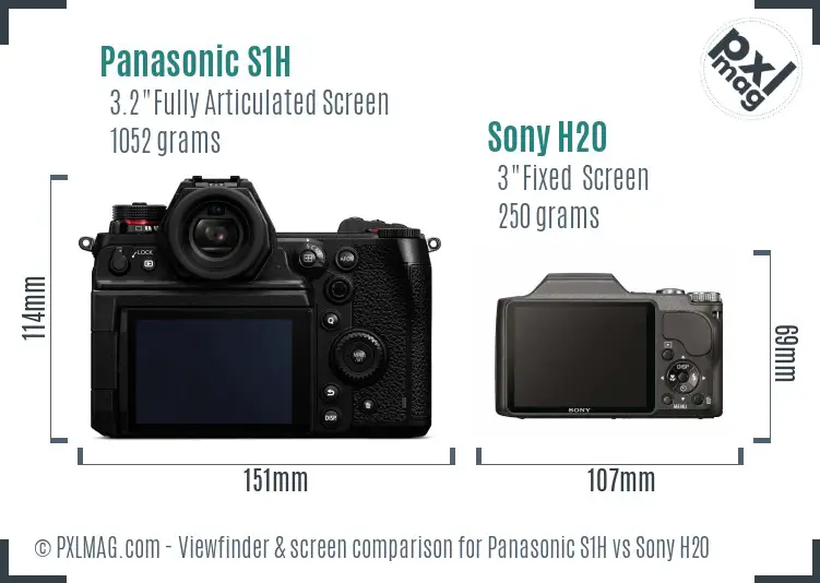Panasonic S1H vs Sony H20 Screen and Viewfinder comparison