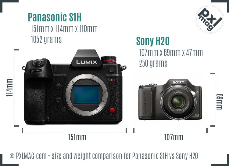 Panasonic S1H vs Sony H20 size comparison