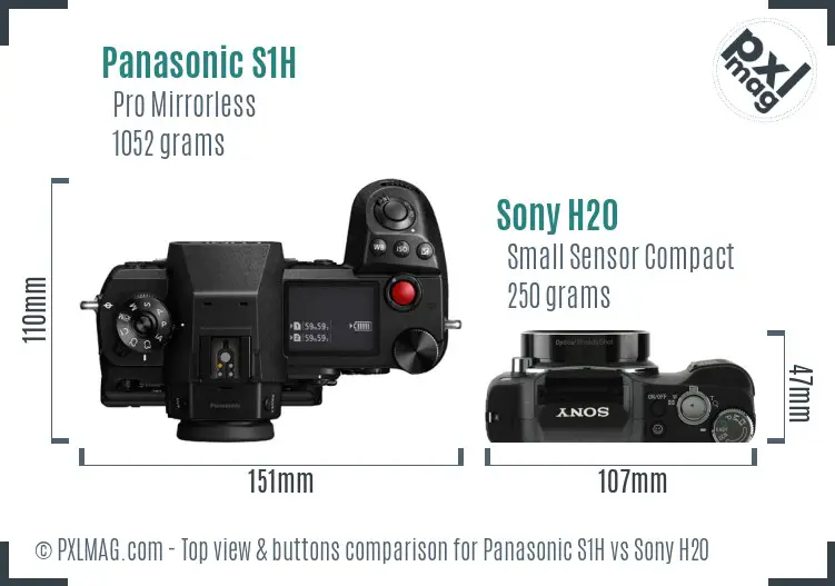 Panasonic S1H vs Sony H20 top view buttons comparison