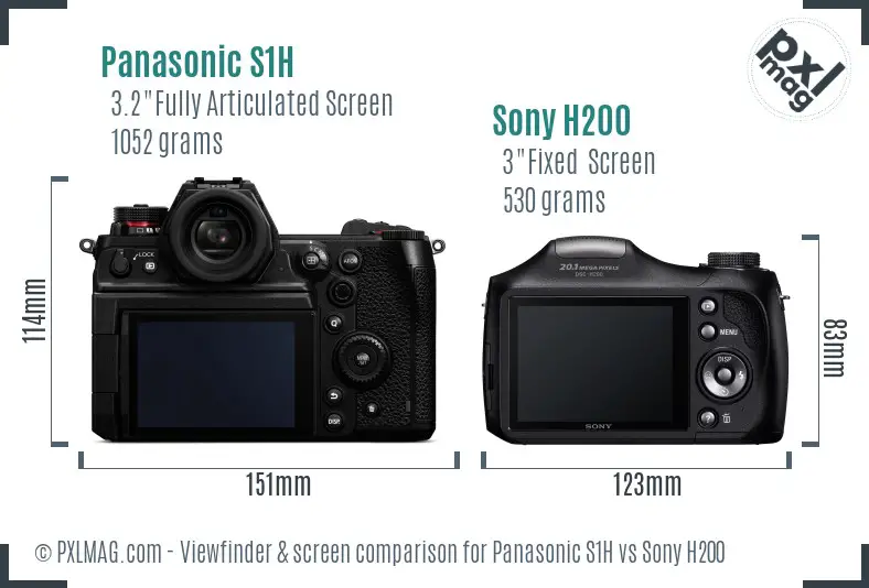 Panasonic S1H vs Sony H200 Screen and Viewfinder comparison