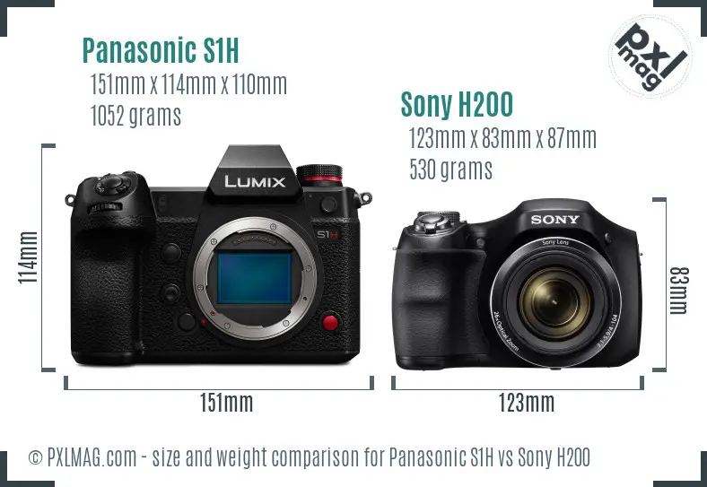Panasonic S1H vs Sony H200 size comparison