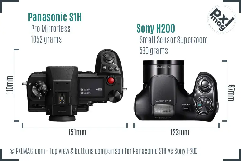 Panasonic S1H vs Sony H200 top view buttons comparison