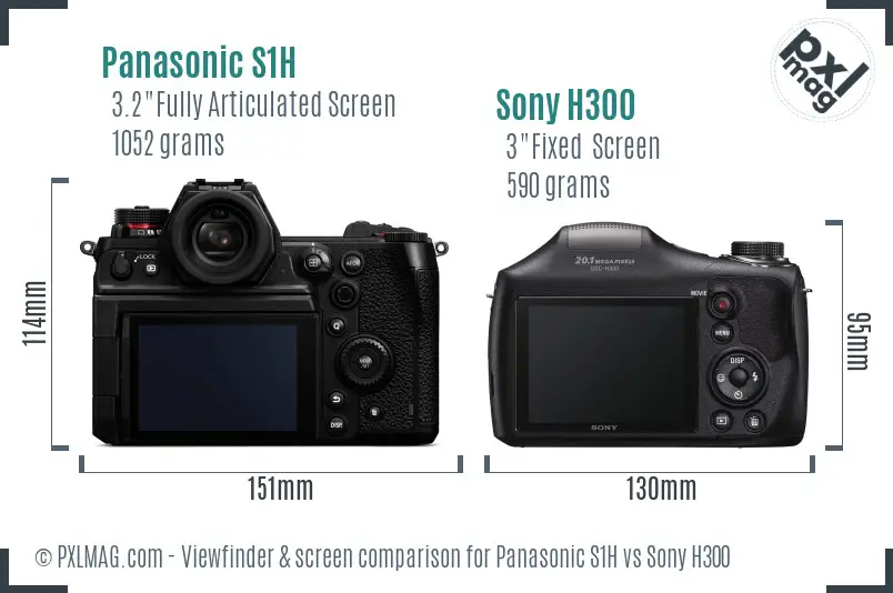 Panasonic S1H vs Sony H300 Screen and Viewfinder comparison