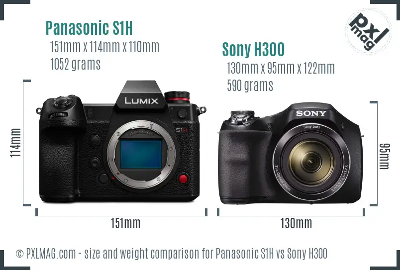 Panasonic S1H vs Sony H300 size comparison