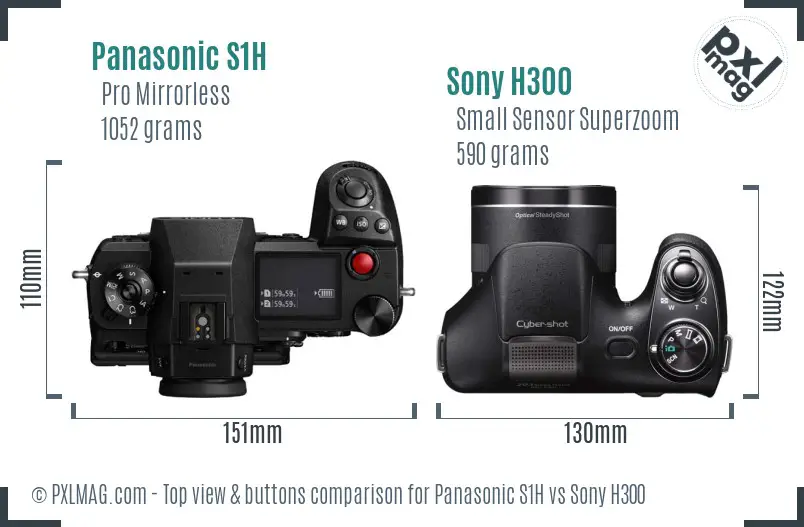 Panasonic S1H vs Sony H300 top view buttons comparison