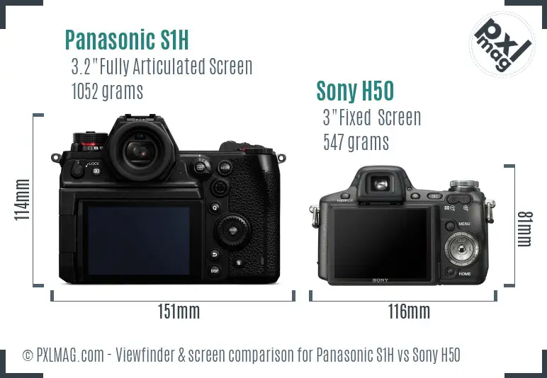Panasonic S1H vs Sony H50 Screen and Viewfinder comparison