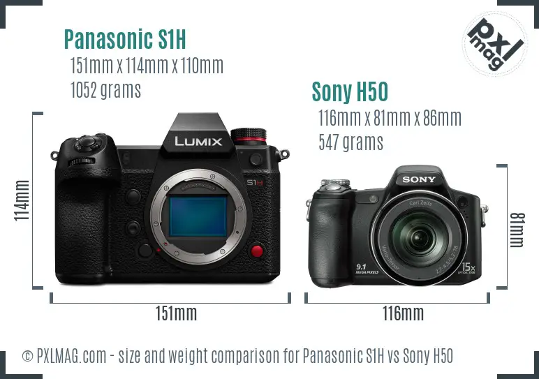 Panasonic S1H vs Sony H50 size comparison