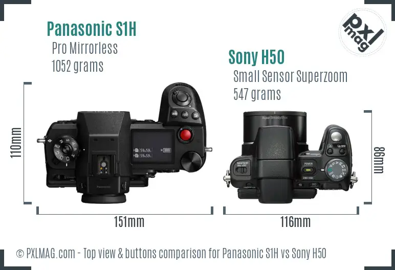 Panasonic S1H vs Sony H50 top view buttons comparison
