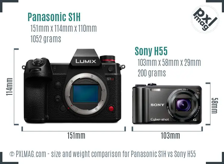 Panasonic S1H vs Sony H55 size comparison
