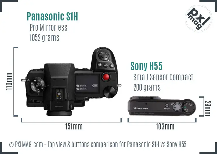 Panasonic S1H vs Sony H55 top view buttons comparison