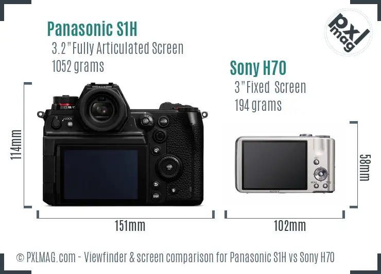 Panasonic S1H vs Sony H70 Screen and Viewfinder comparison
