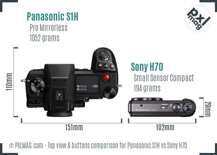 Panasonic S1H vs Sony H70 top view buttons comparison