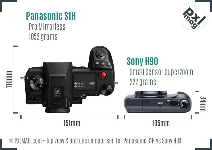 Panasonic S1H vs Sony H90 top view buttons comparison