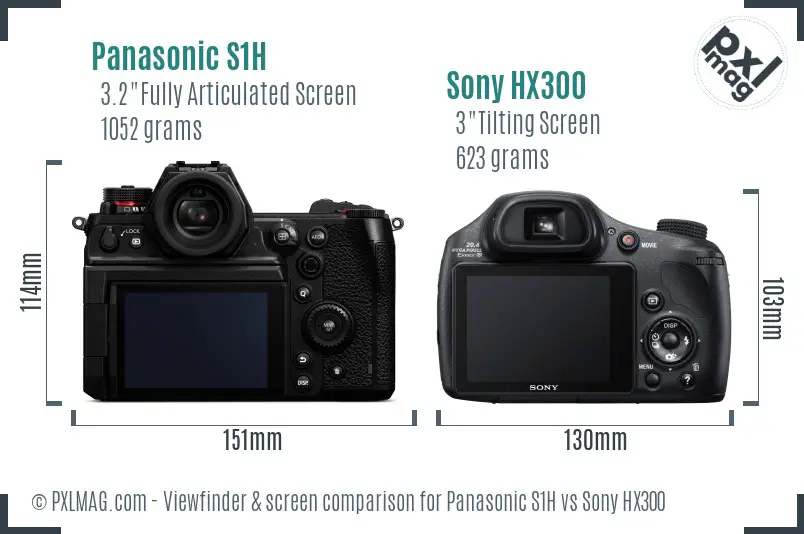 Panasonic S1H vs Sony HX300 Screen and Viewfinder comparison