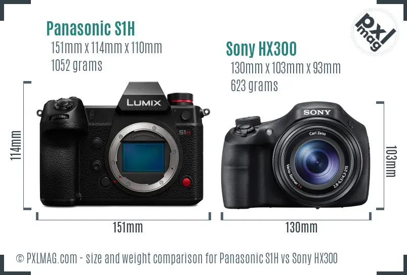 Panasonic S1H vs Sony HX300 size comparison