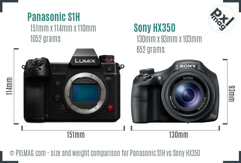 Panasonic S1H vs Sony HX350 size comparison