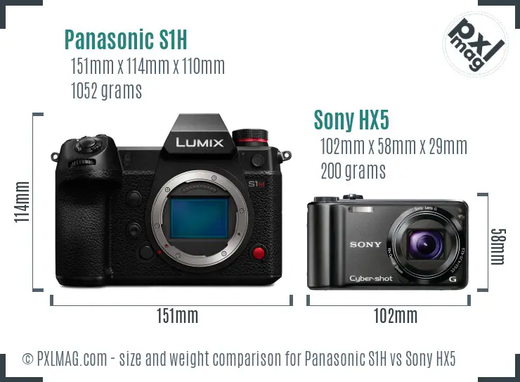 Panasonic S1H vs Sony HX5 size comparison