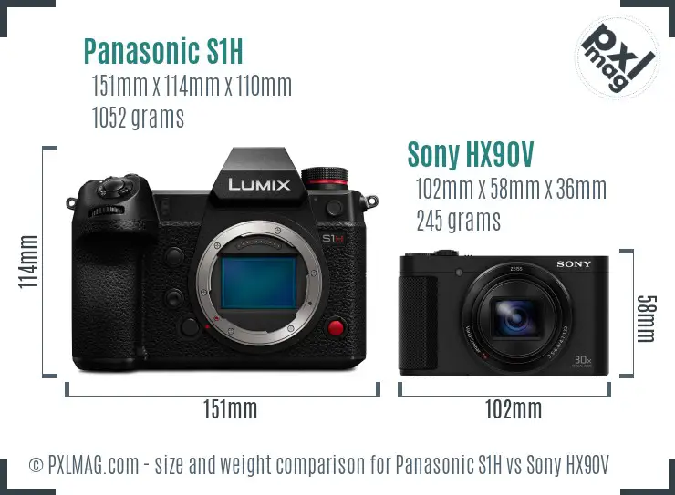Panasonic S1H vs Sony HX90V size comparison