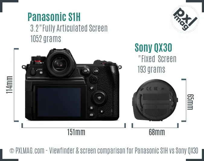 Panasonic S1H vs Sony QX30 Screen and Viewfinder comparison